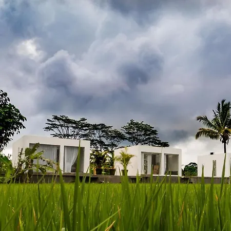 Deluxe White Cube Hotel